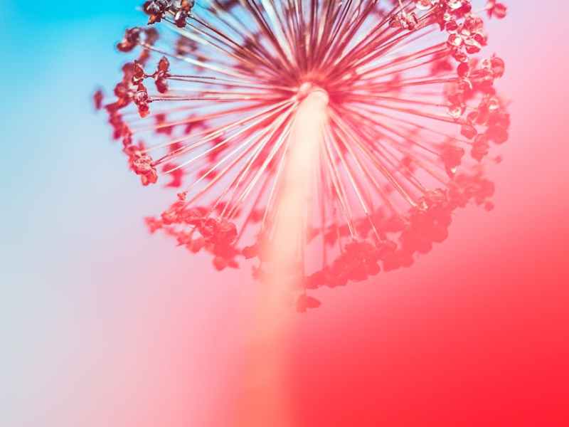 ¿La felicidad existe?